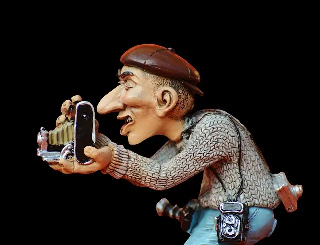 Best Digital Cameras for Beginners