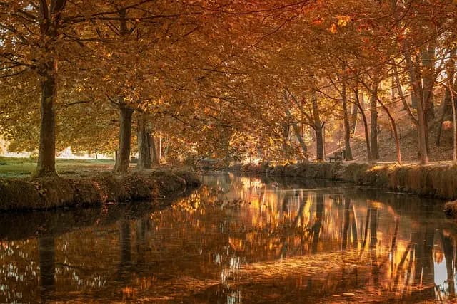 Guide d'Achat sur les Meilleures Pratiques de Stérilisation
