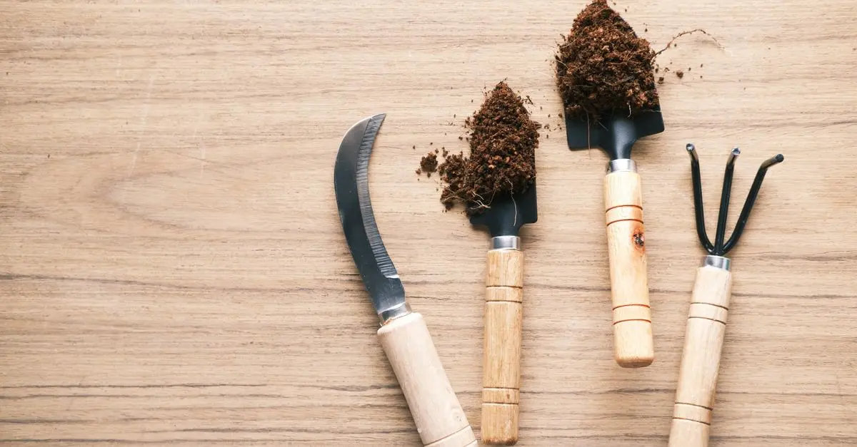 The Best Gardening Tools for Every Gardener