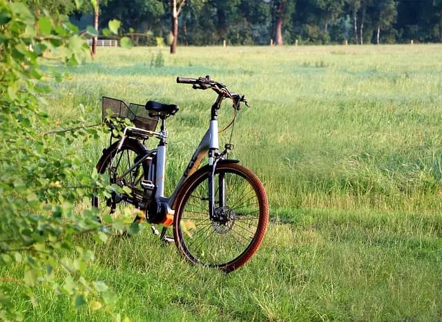 Your Complete Guide to Top Electric Bikes